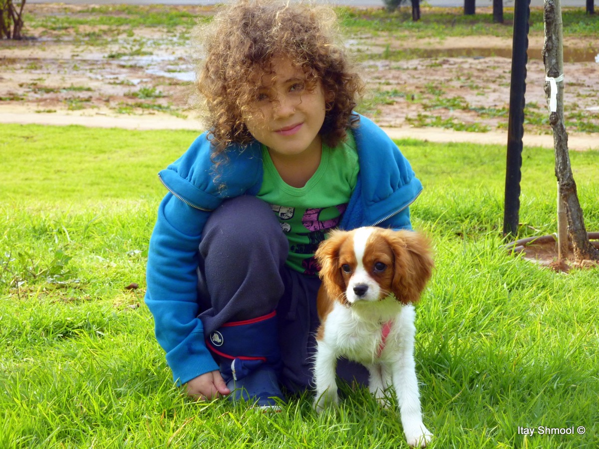 נועה עם גור כלבים